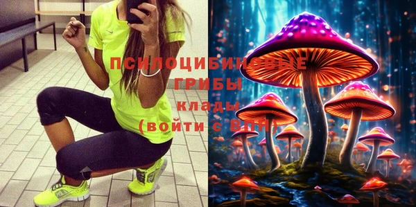 тгк Рославль