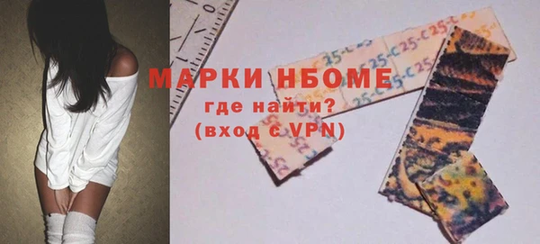 шишки Сатка