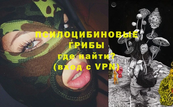 шишки Сатка