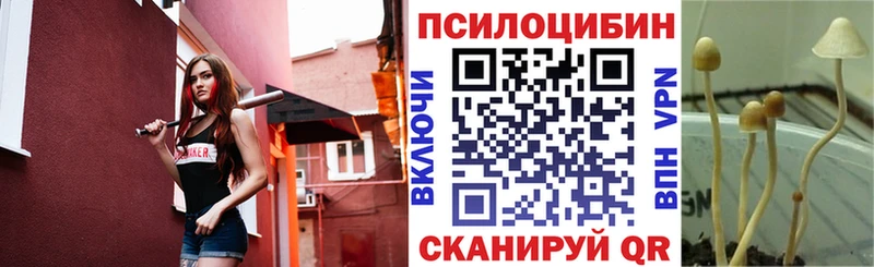 где купить наркотик  Ардон  Псилоцибиновые грибы Magic Shrooms 